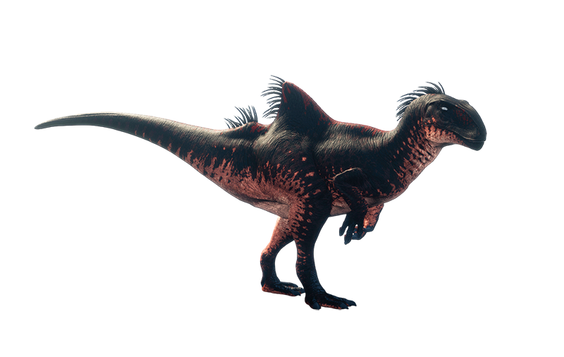 Конкавенатор Конкавенатор