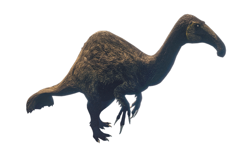 Дейнохейрус Дейнохейрус