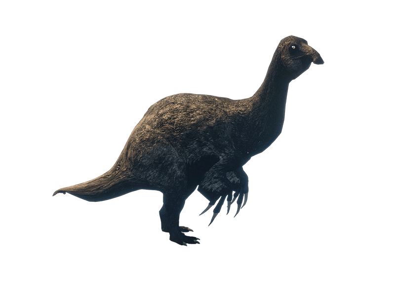 Дейнохейрус Дейнохейрус