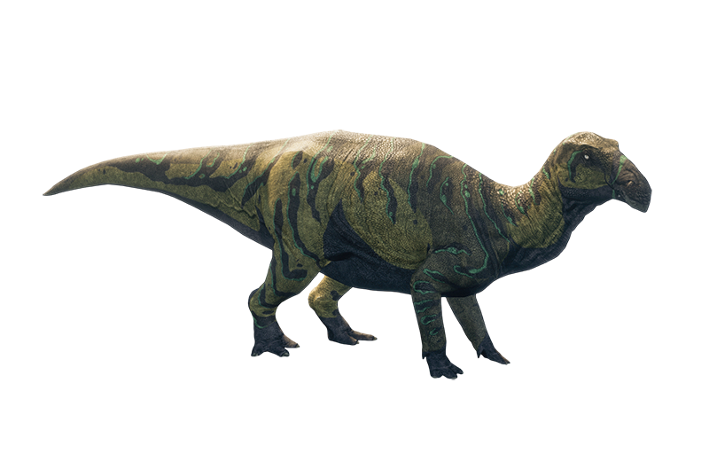 Лурдузавр Лурдузавр