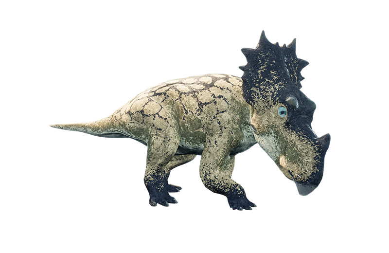 Стиракозавр Стиракозавр