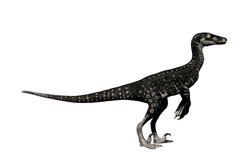 Троодон Троодон